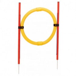 Ferplast PA 6862 Circle-Accessorio agility per cani