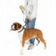 Ferplast Sport Dog Matic G-Guinzaglio cani