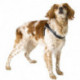 Ferplast Agila-Pettorina per cani