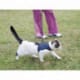 Ferplast Jogging-Pettorina per gatti
