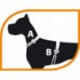 Ferplast Jogging-Pettorina per gatti