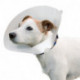 Ferplast collari veterinari per cane