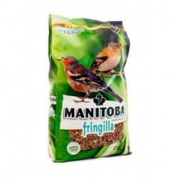 Manitoba Fringilla-alimento per uccelli fringilla