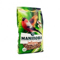 Manitoba Indigena new-alimento per uccelli indigeni