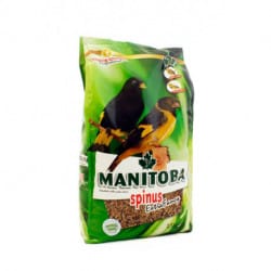 Manitoba Spinus Extra Fancy-alimento per uccelli spinus