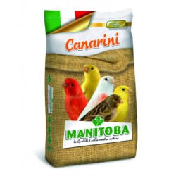 Manitoba canarini biscuit-alimento per canarini