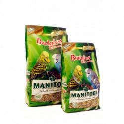 Manitoba Budgies best premium-alimento per cocorite