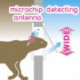 Ferplast Swing Microchip-Gattaiola per gatti