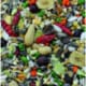 Manitoba African Parrots-alimento per pappagalli africani