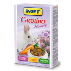 Raff Carotino Flowers-alimento per conigli nani