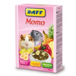 Raff Momo-alimento per cavie