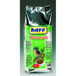 Raff Universale pastone universale per uccelli insettivori