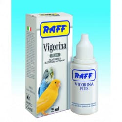 Raff Vigorina Plus integratore polivitaminico per uccelli