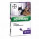 Bayer Advantage Spot-on antiparassitario per gatti e conigli