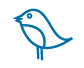 Uccelli