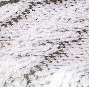 Wool