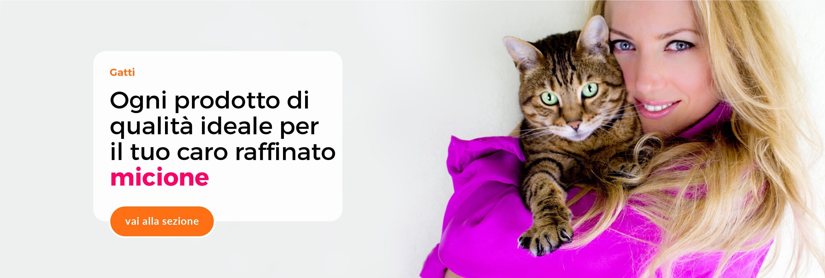 Slide Gatti